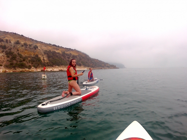 Pratiquer le Paddle Surf 