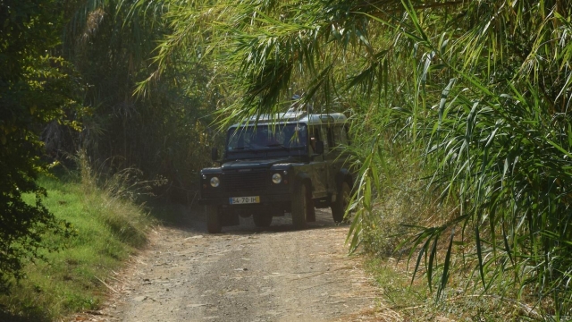  La nostra jeep sulla strada 