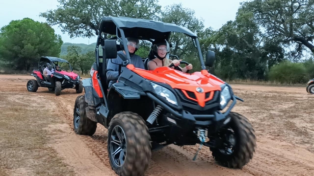 Nuestos modelo de buggy