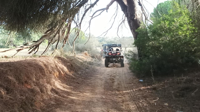 Recorriendo los senderos en buggy