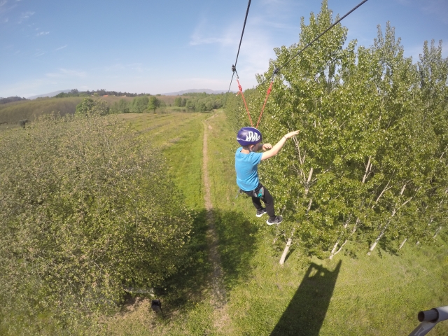  A tour of the zip line 