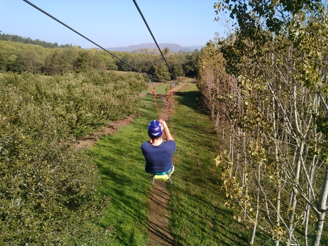  Sliding down the zip line in Portugal 