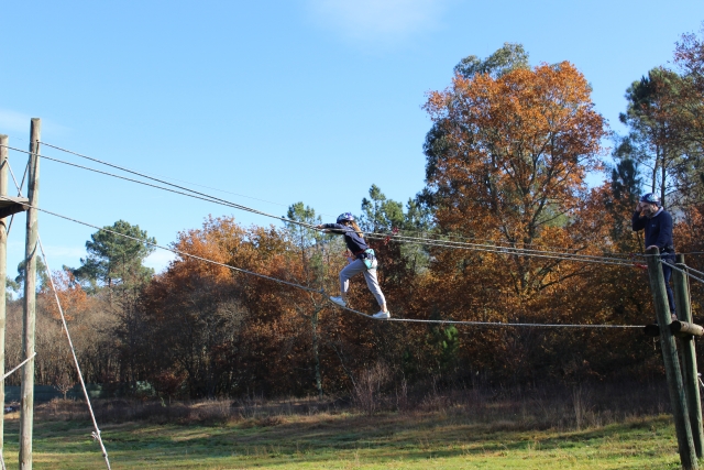  By heights during the tree climbing circuit