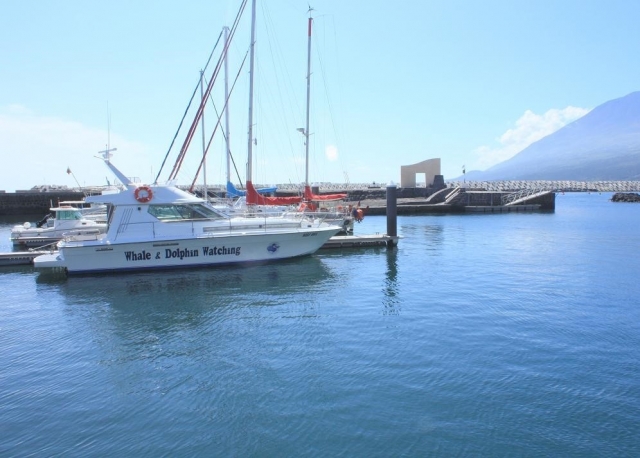  Dans le port 