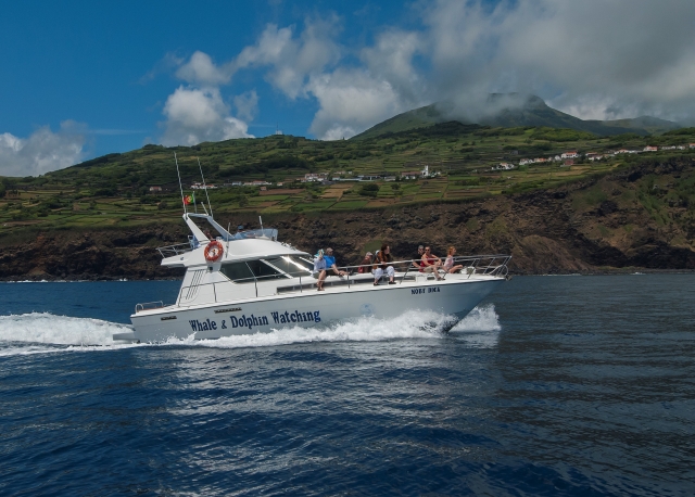  Promenades en bateau 