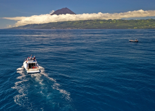  Venez faire une promenade en bateau 