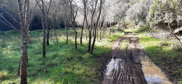 山地自行车路线经过的场景 