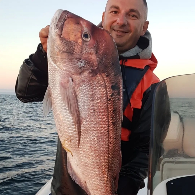  Fish in your hands 