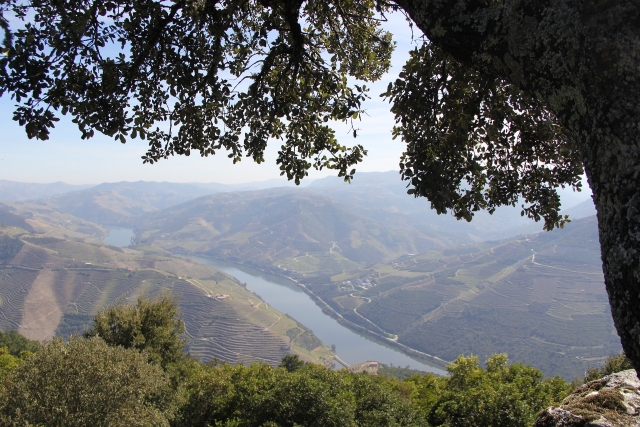 I paesaggi del Douro 