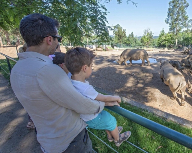  Visitez le zoo de Santo Inácio en famille 