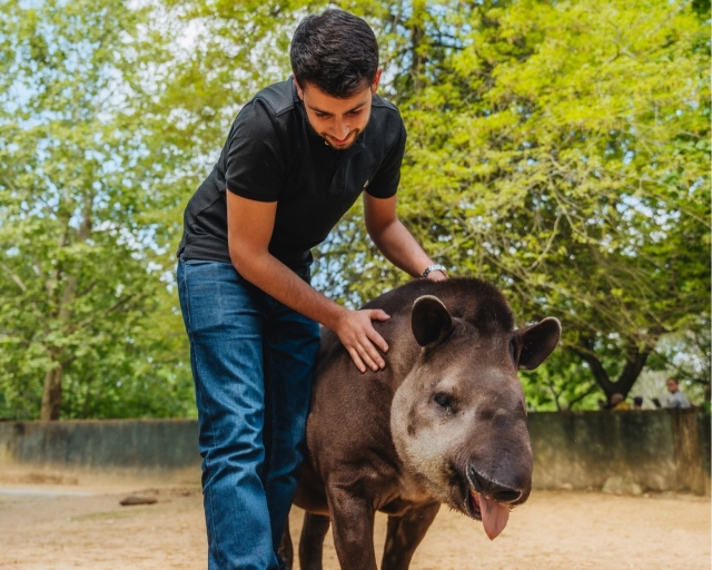  Le plus grand zoo de Porto 