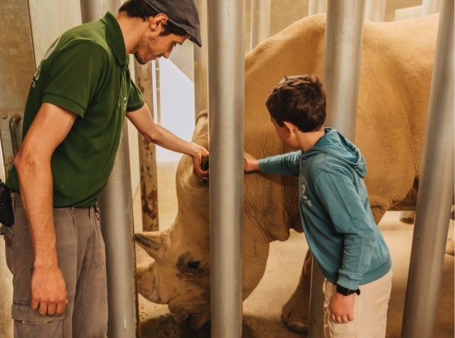  Grands rhinocéros au zoo 