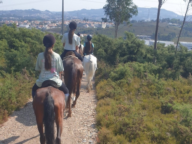  Rides à cheval 