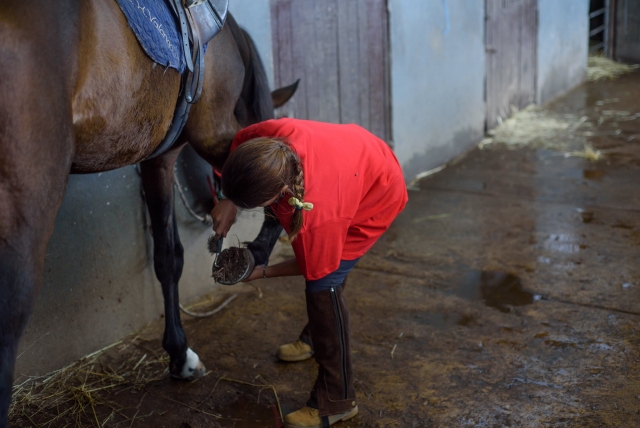  Nettoyage des sabots de chevaux