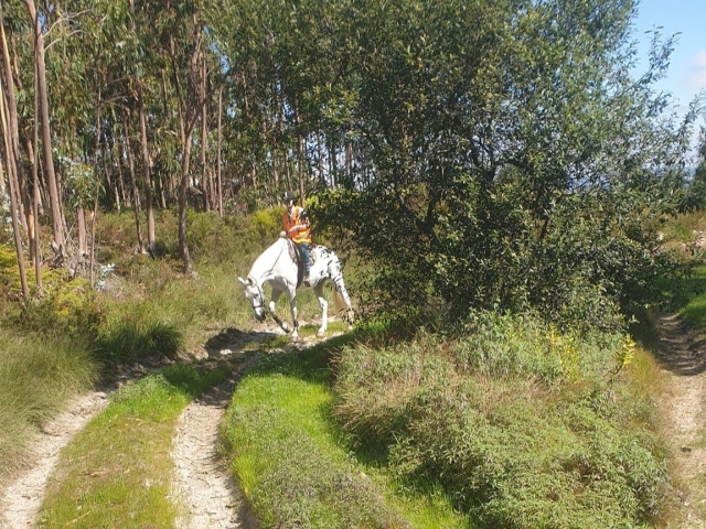  Rid à cheval jusqu'au trône romain 