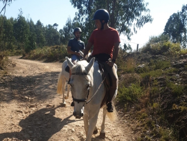  Horse Horse Tours 