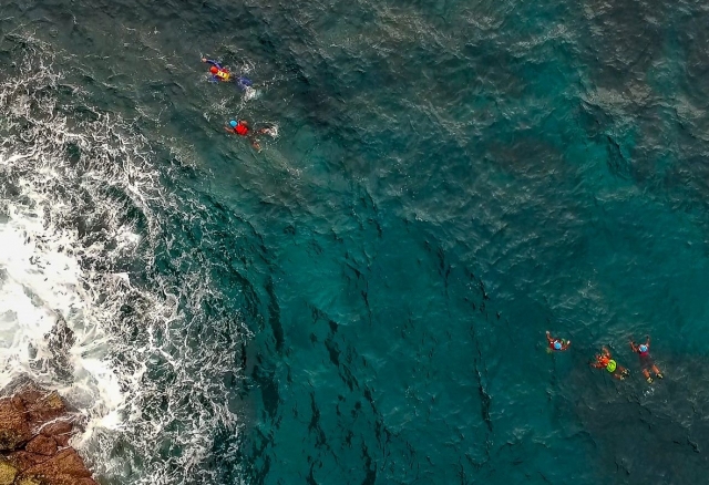  Nuoto di gruppo facendo coasteering 