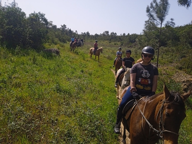 Promenade à cheval dans la nature 
