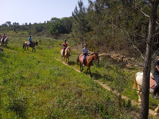 Ruta a caballo en grupo por el campo