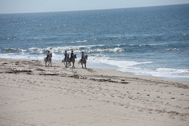 Paseo por la playa