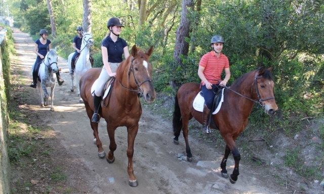 Ruta a caballo hacia la playa
