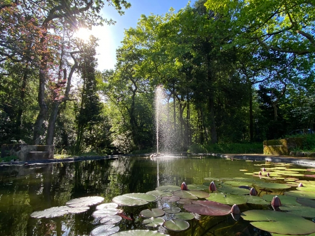  Parque da Pena