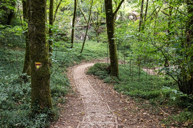  Parkwege 