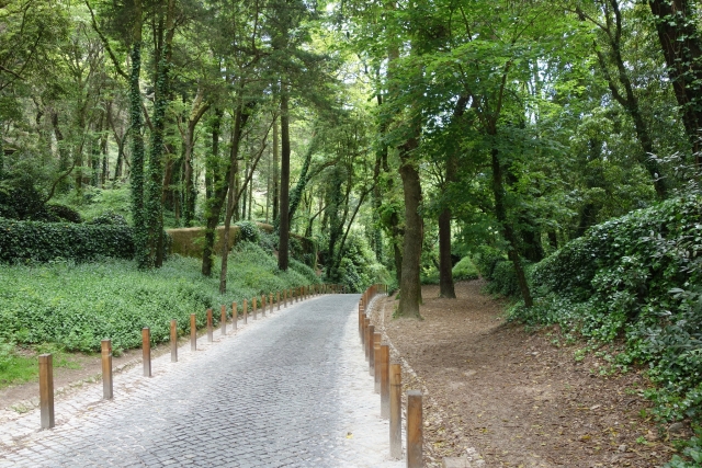  Parque da Pena 