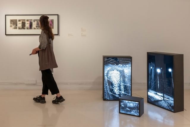  Viewing the paintings
