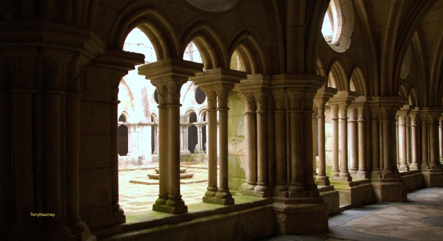  Colunas da Sé do Porto 