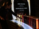 Visita guidata museo+cantina Cálem+Fado, Porto 75min