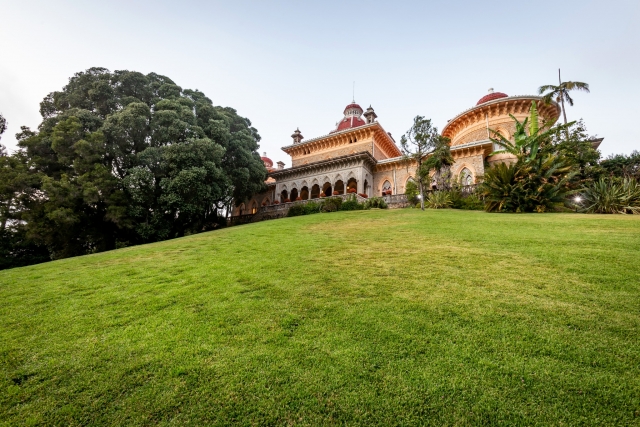 Césped del palacio