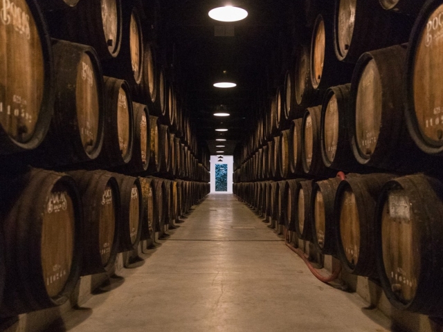  Das Weingut 