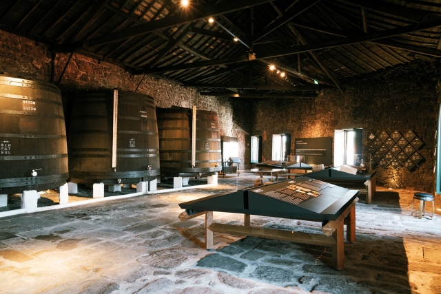  Exposition sur l'histoire de la cave