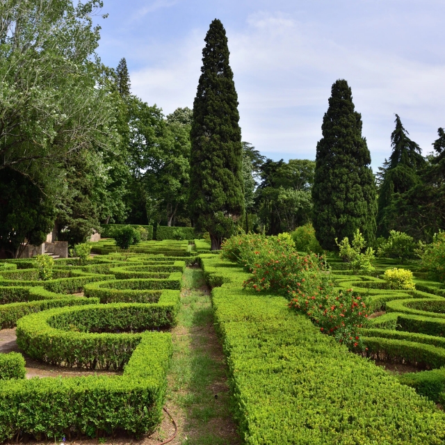 Giardini del palazzo 