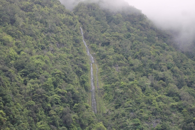  Foresta di Funchal 