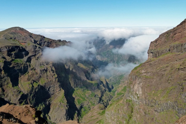 Picos de Madeira