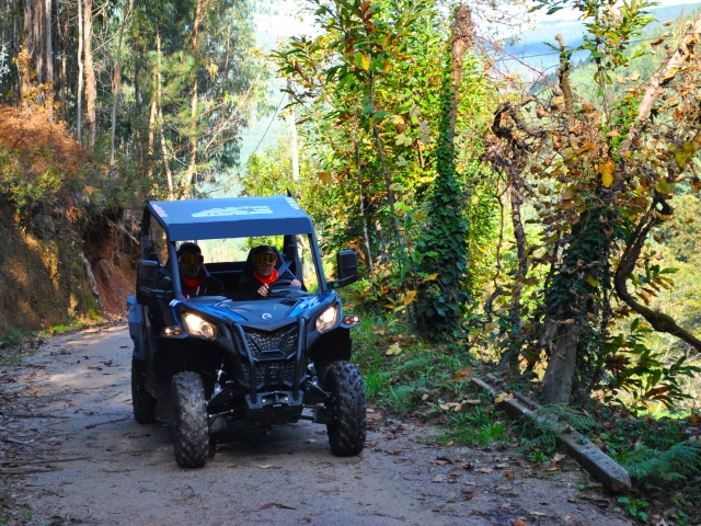  Itinéraires buggy à Aveiro 