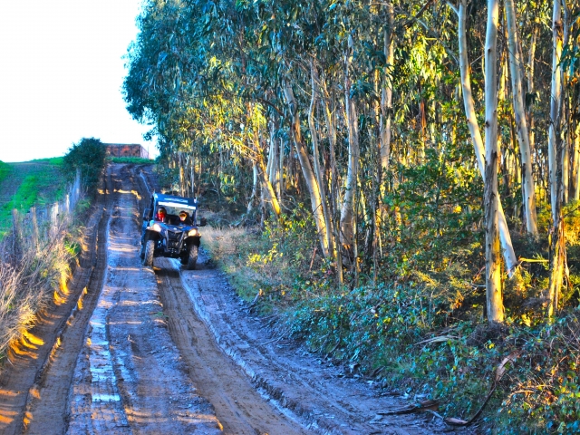  Profitez d'un itinéraire en buggy de 2 heures 