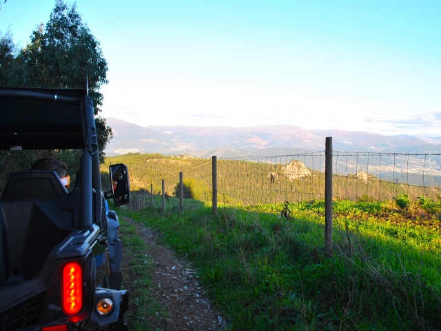  Visitez la région en buggy 