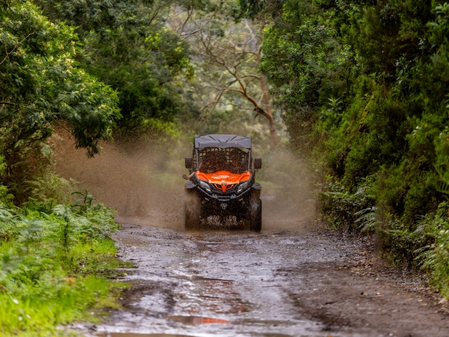  FundUras de Buggy