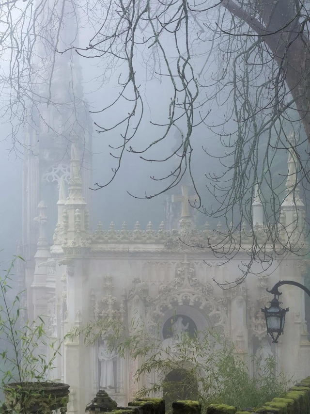  Winter at Quinta da Regaleira