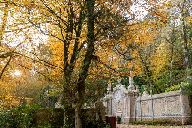  Stroll through the gardens 