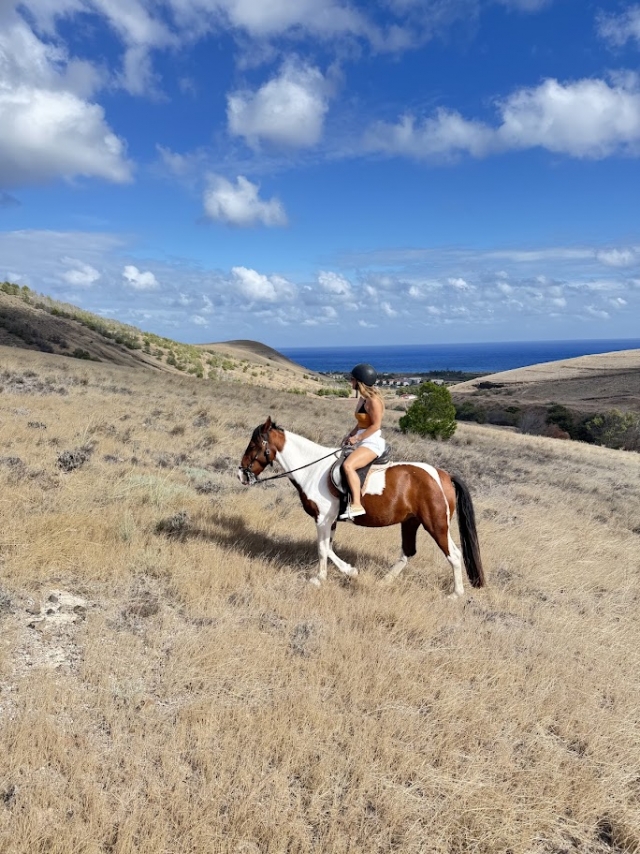  Profitez d'une balade à cheval le long de la côte 