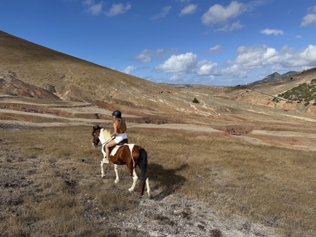  Profitez d'une balade à cheval à travers Ponta da Beberia 