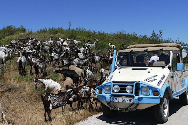 Jeep Safari Sapal de Castro Marim + lunch, 6h