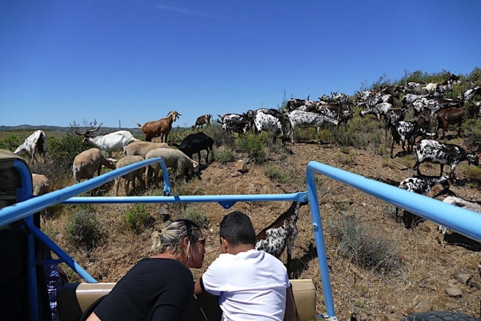  Jeep Safari in the Algarve 
