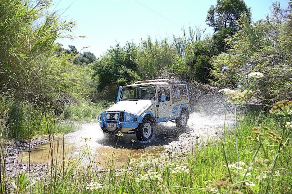  Our jeep