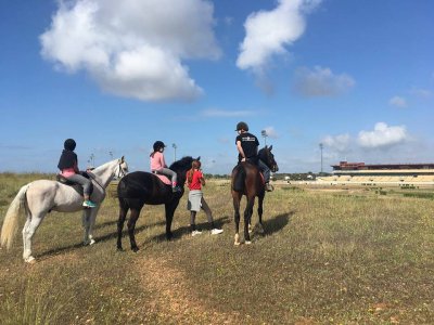 Percurso a cavalo para grupos em Dos Hermanas