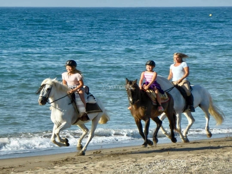  Group riding a horse 